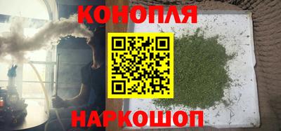 мяу мяу мука Новозыбков