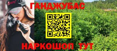 spice Новодвинск