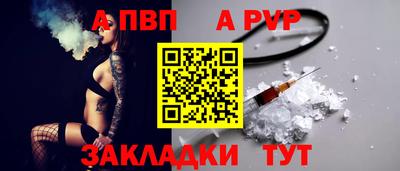 spice Новодвинск